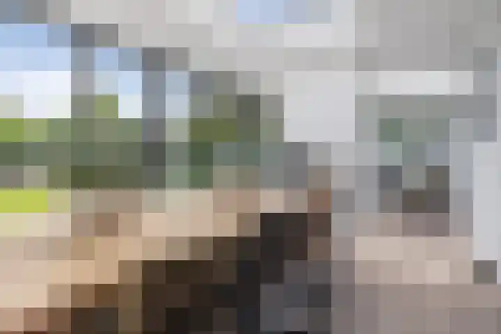 Vaandrigstraat 13 Etten-Leur thumbnail 24
