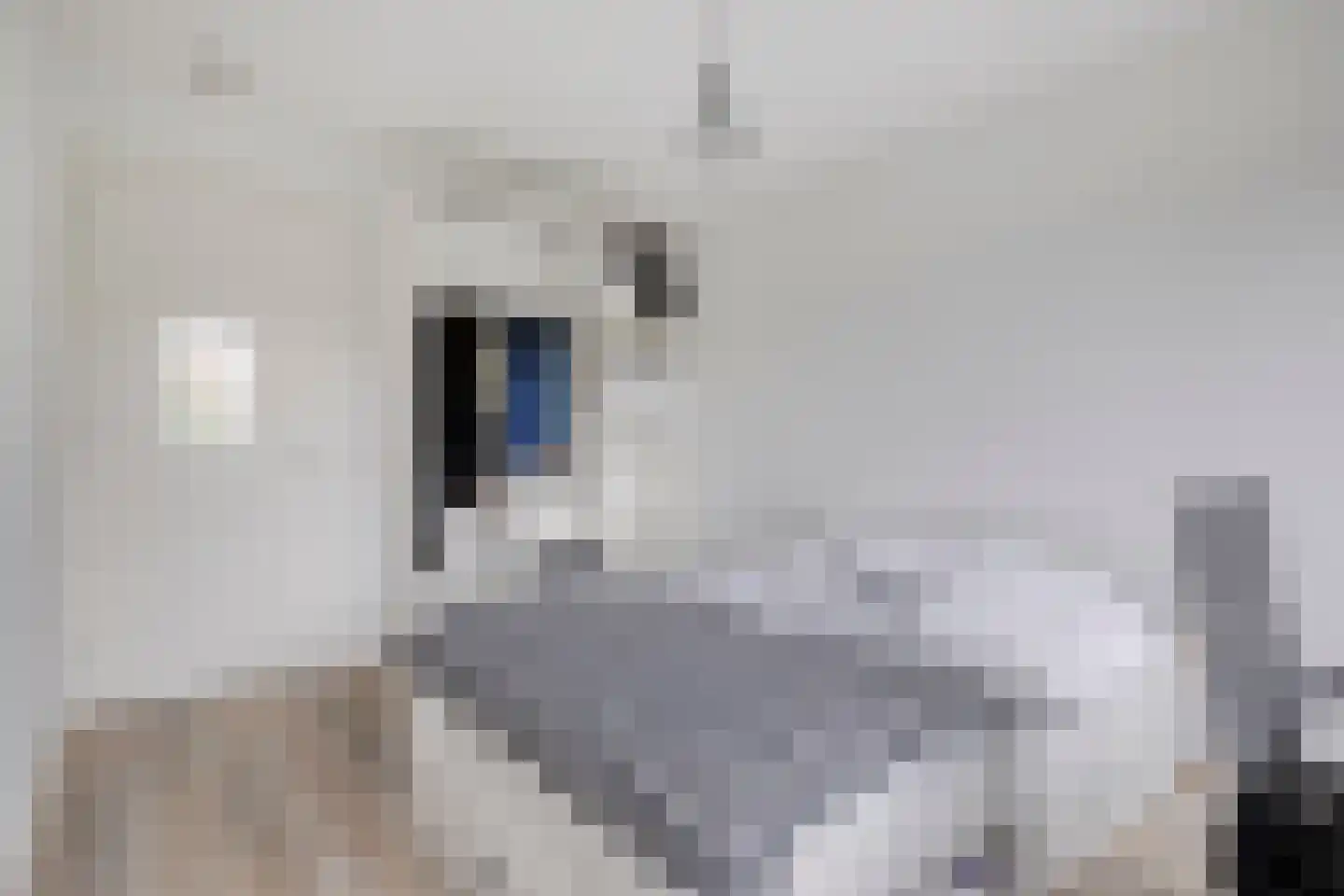 Vaandrigstraat 4 Etten-Leur thumbnail 25