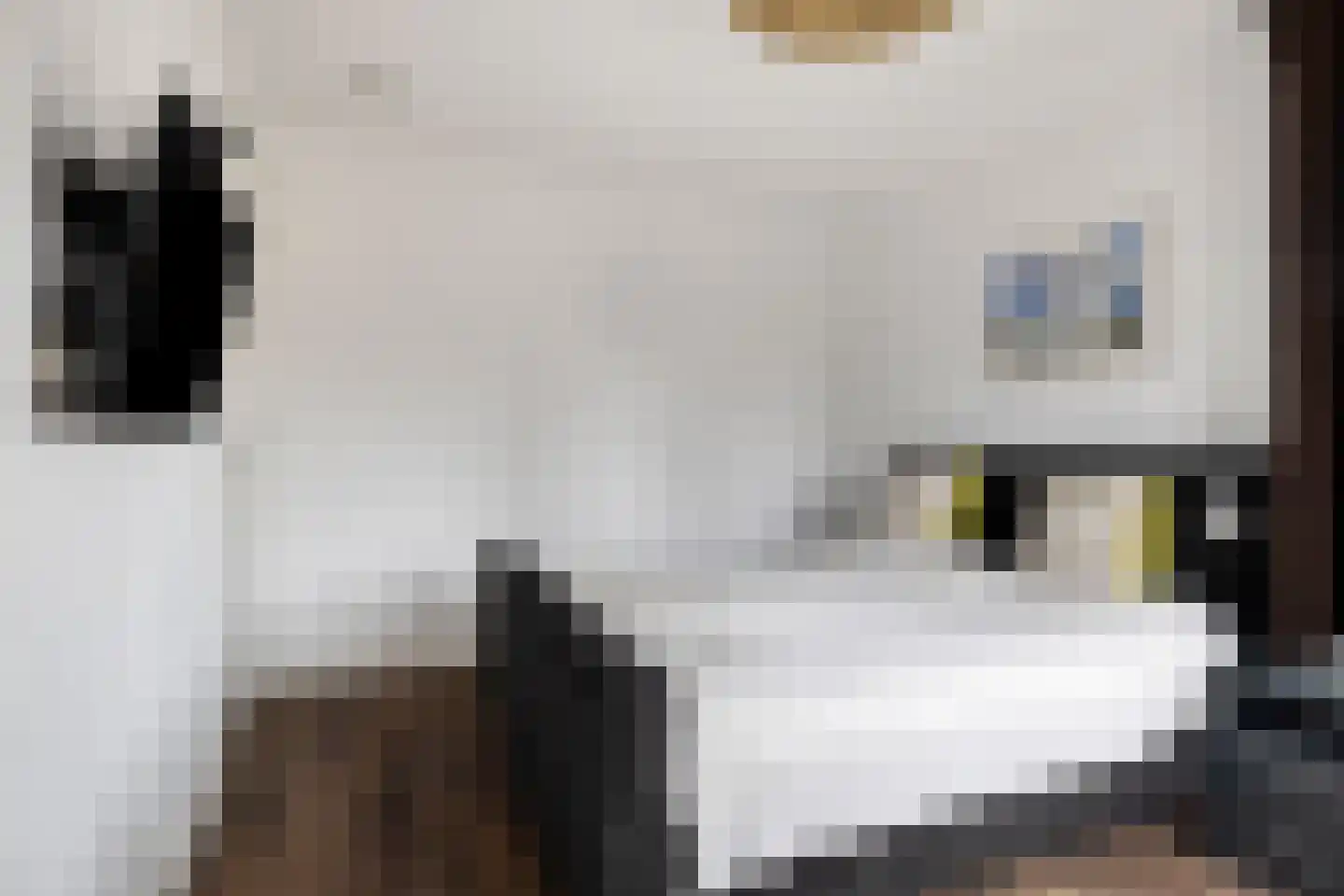 Vaandrigstraat 4 Etten-Leur thumbnail 27
