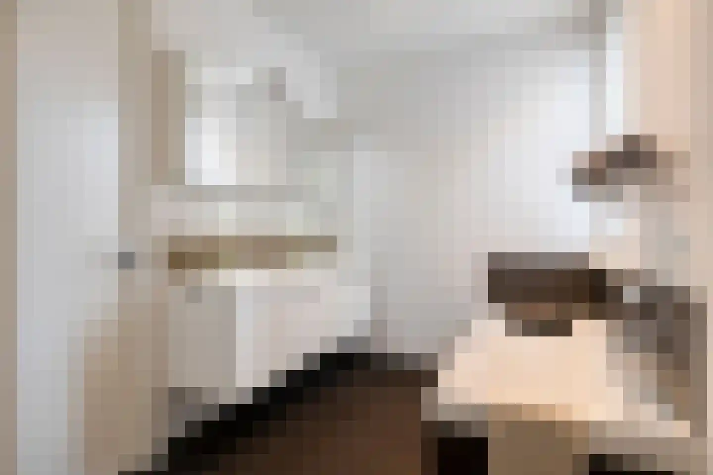 Vaandrigstraat 4 Etten-Leur thumbnail 33