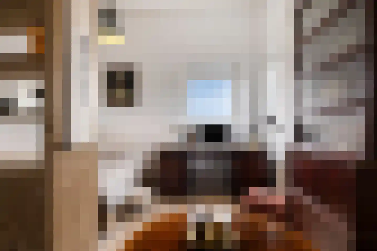 Vaandrigstraat 4 Etten-Leur thumbnail 39