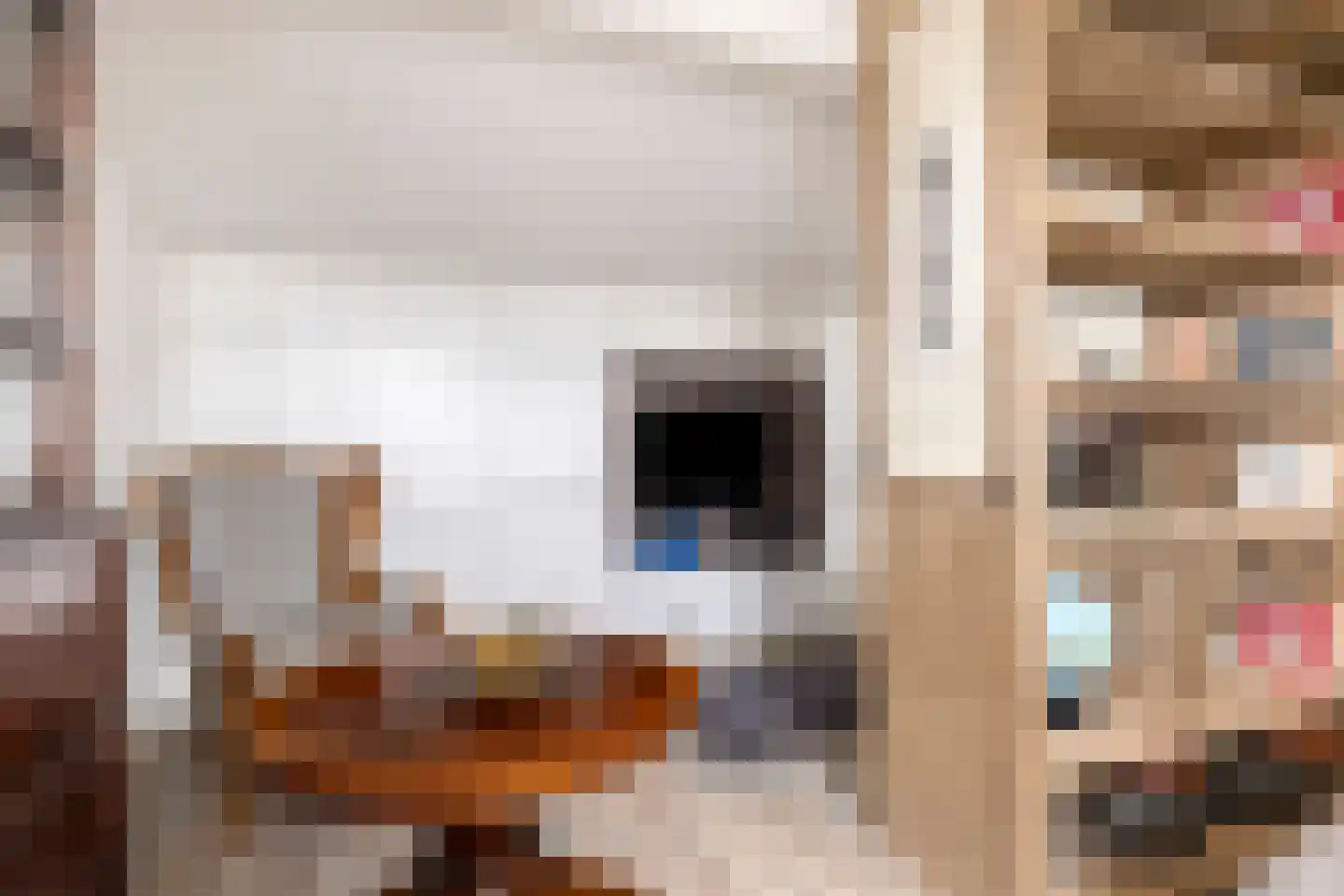 Vaandrigstraat 4 Etten-Leur thumbnail 41