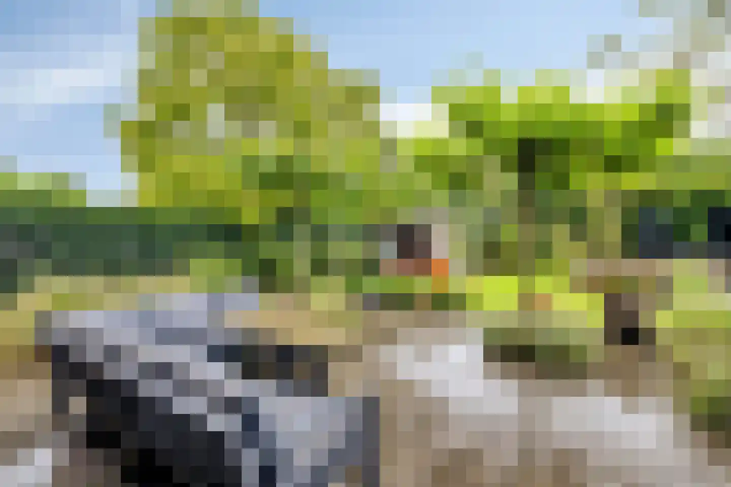 Vaandrigstraat 4 Etten-Leur thumbnail 48