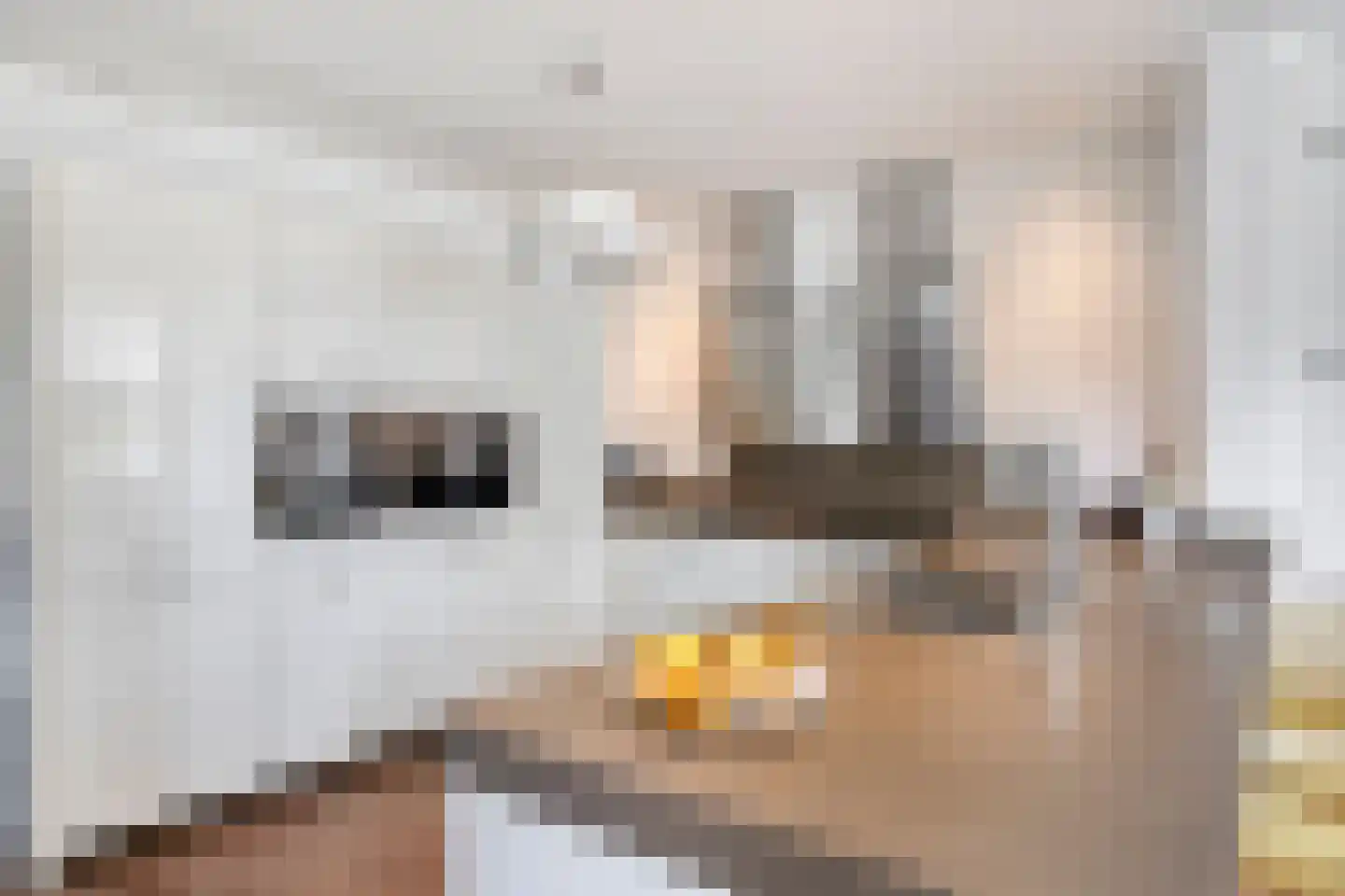 Vaandrigstraat 4 Etten-Leur thumbnail 5