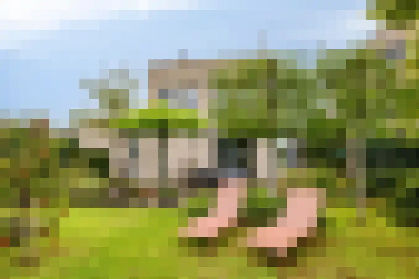 Vaandrigstraat 4 Etten-Leur thumbnail 56