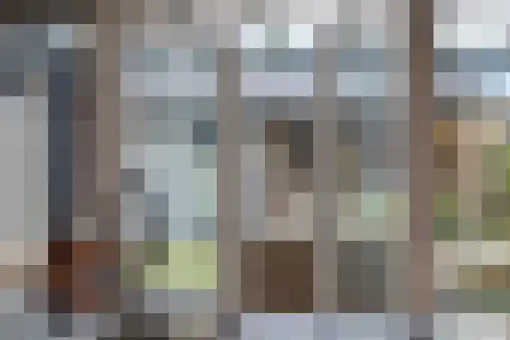 Vaanholt 1 Haaksbergen thumbnail 17