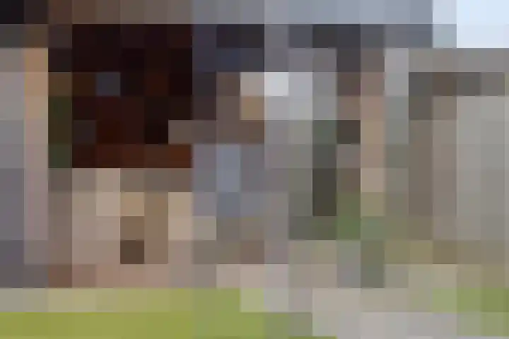 Vaanholt 1 Haaksbergen thumbnail 26