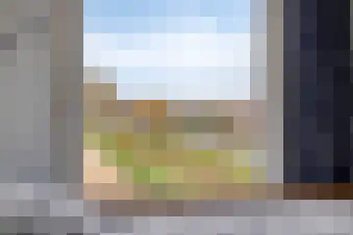 Vaanholt 1 Haaksbergen thumbnail 33