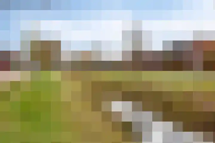 Vaanholt 1 Haaksbergen thumbnail 41