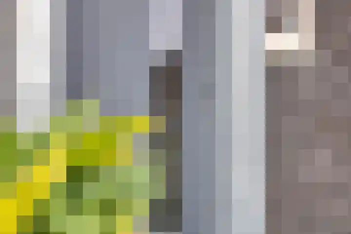 Vaanholt 1 Haaksbergen thumbnail 6