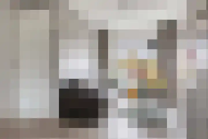 Vaanholt 1 Haaksbergen thumbnail 8