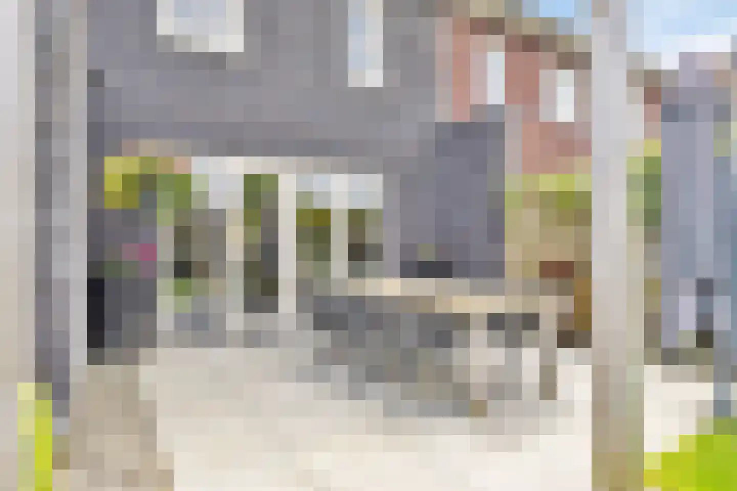 Vaanholt 9 Haaksbergen thumbnail 29