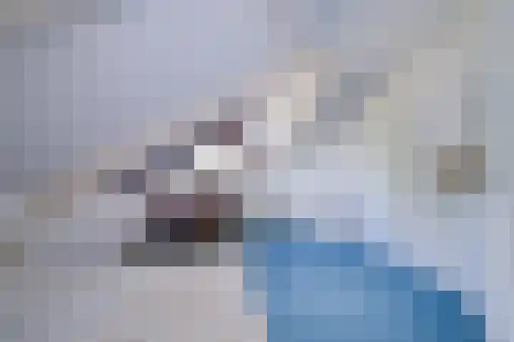 Vaanhorst 1 Beek thumbnail 28