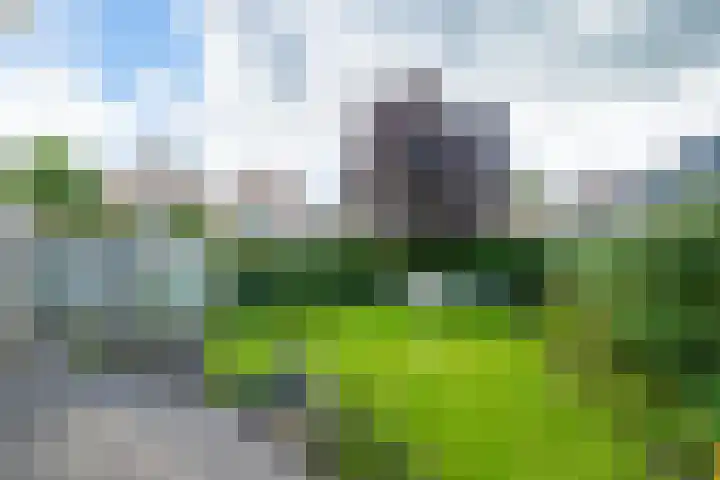 Vaanhorst 1 Beek thumbnail 34