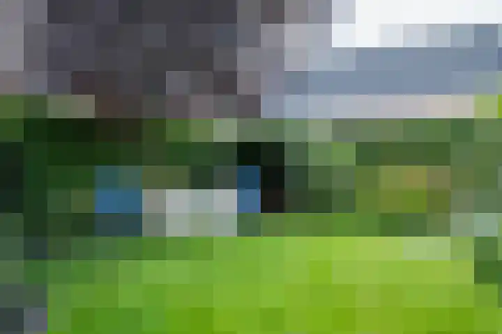 Vaanhorst 1 Beek thumbnail 35