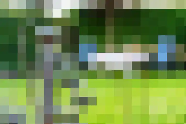 Vaanhorst 1 Beek thumbnail 36