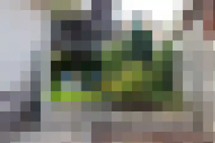 Vaanhorst 1 Beek thumbnail 38
