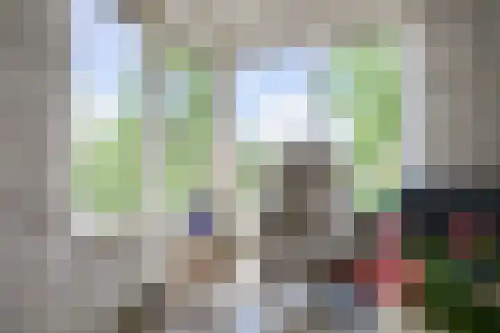Vaanhorst 1 Beek thumbnail 9