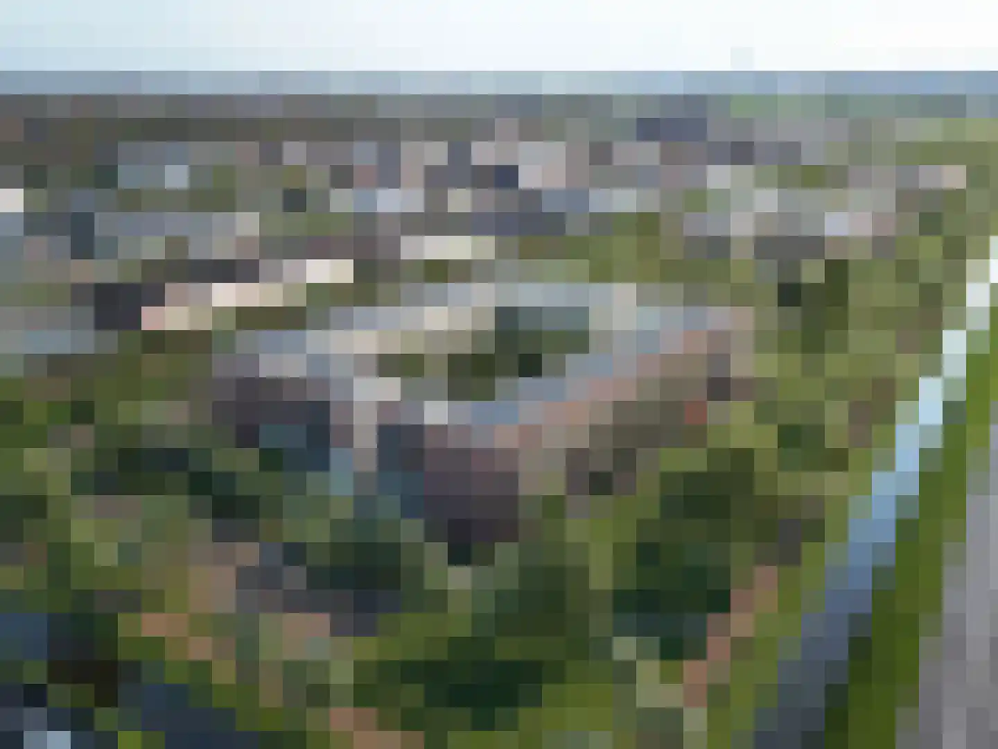 Vaanpark 266 Heerhugowaard thumbnail 16