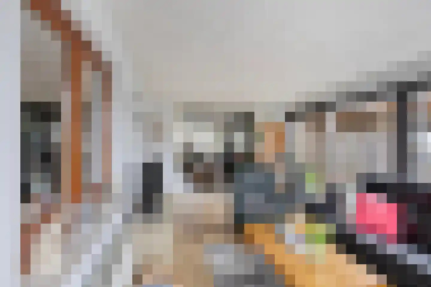 Vaansingel 15 Erp thumbnail 16