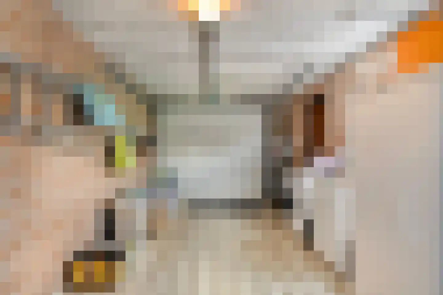 Vaansingel 15 Erp thumbnail 22