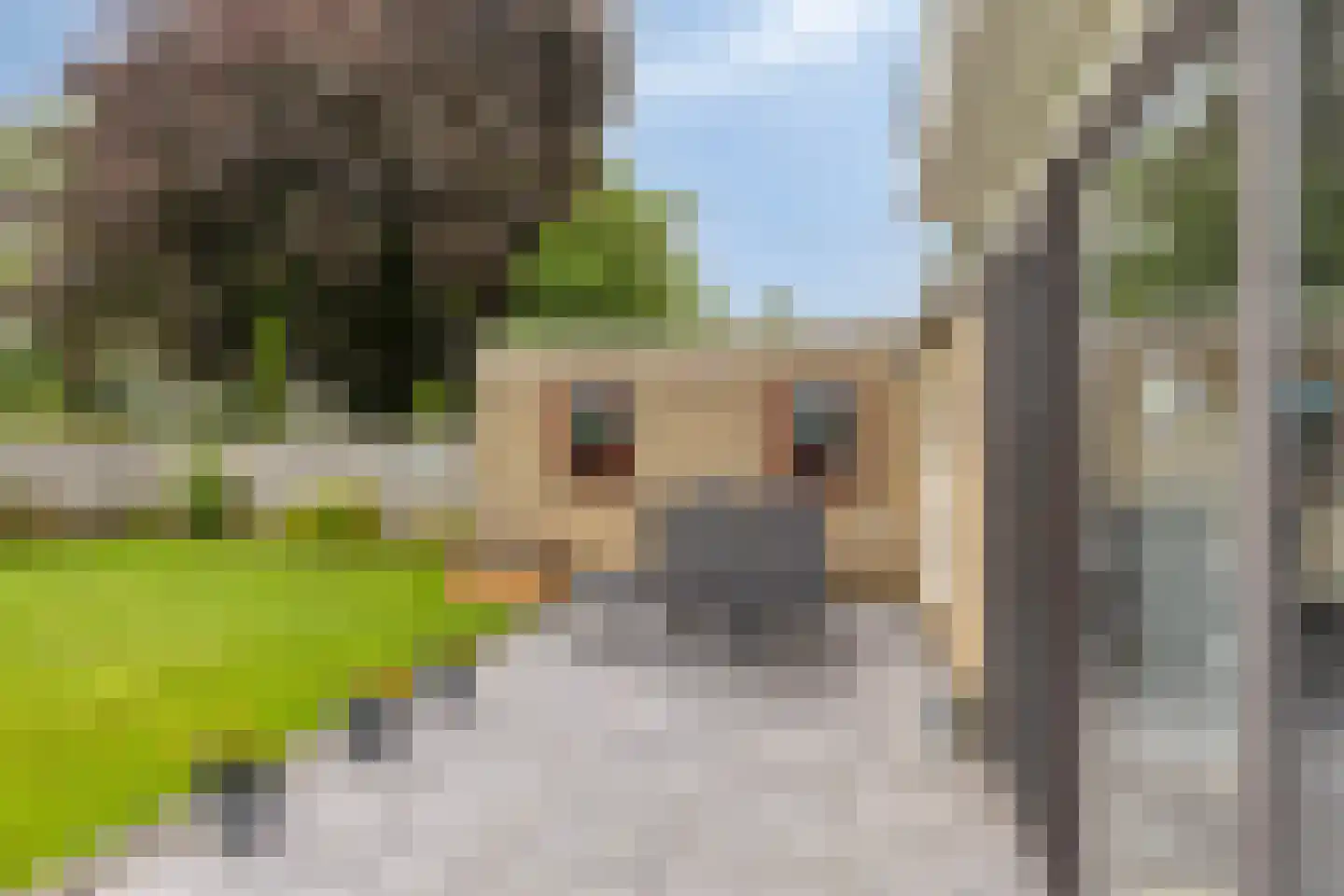 Vaansingel 15 Erp thumbnail 40