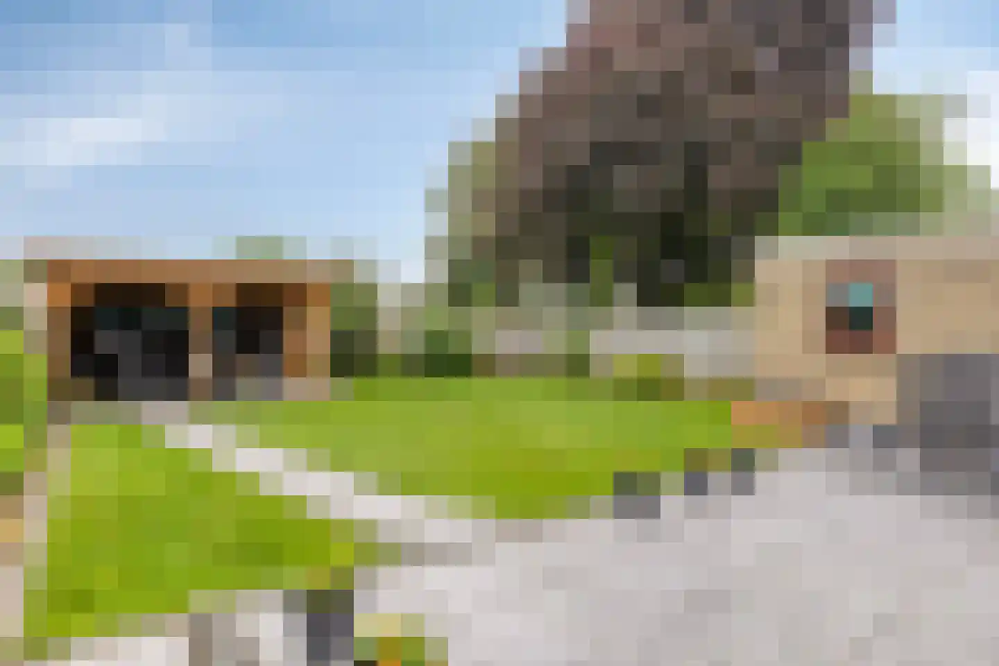 Vaansingel 15 Erp thumbnail 43