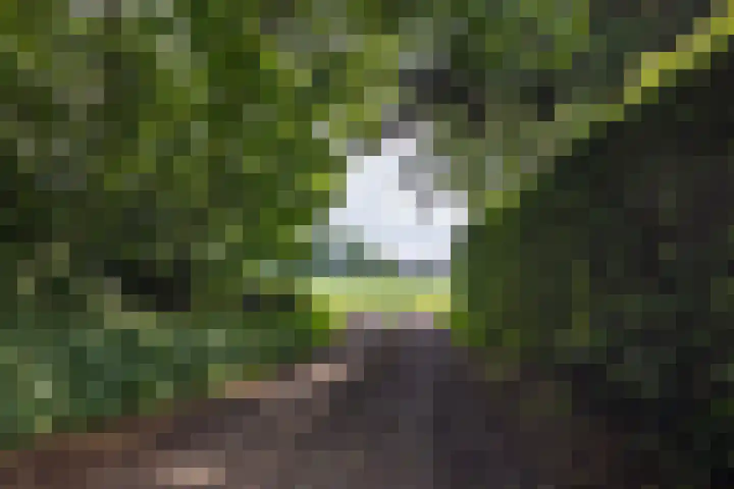 Vaarbekerweg 20 't Harde thumbnail 11