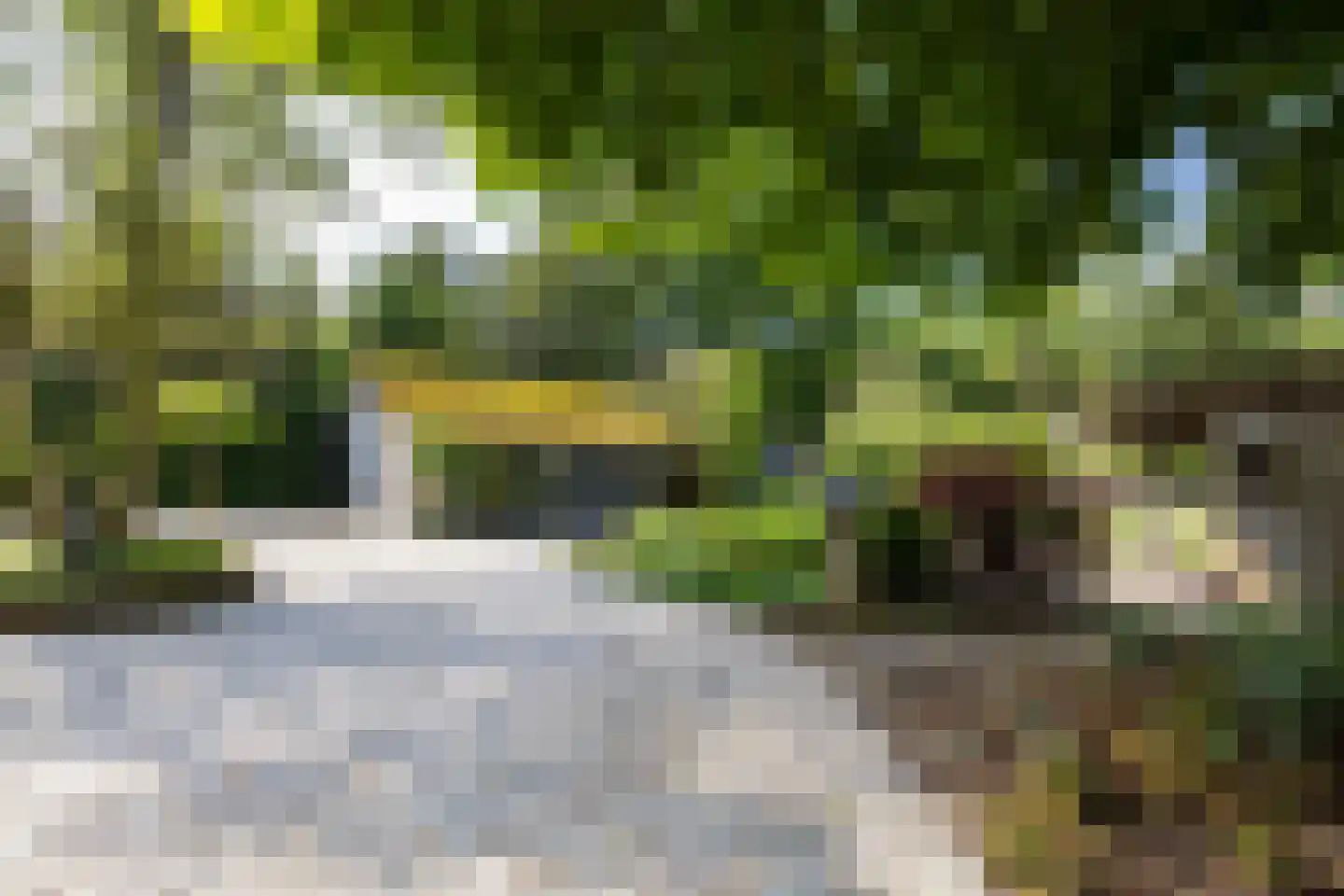 Vaarbekerweg 20 't Harde thumbnail 13