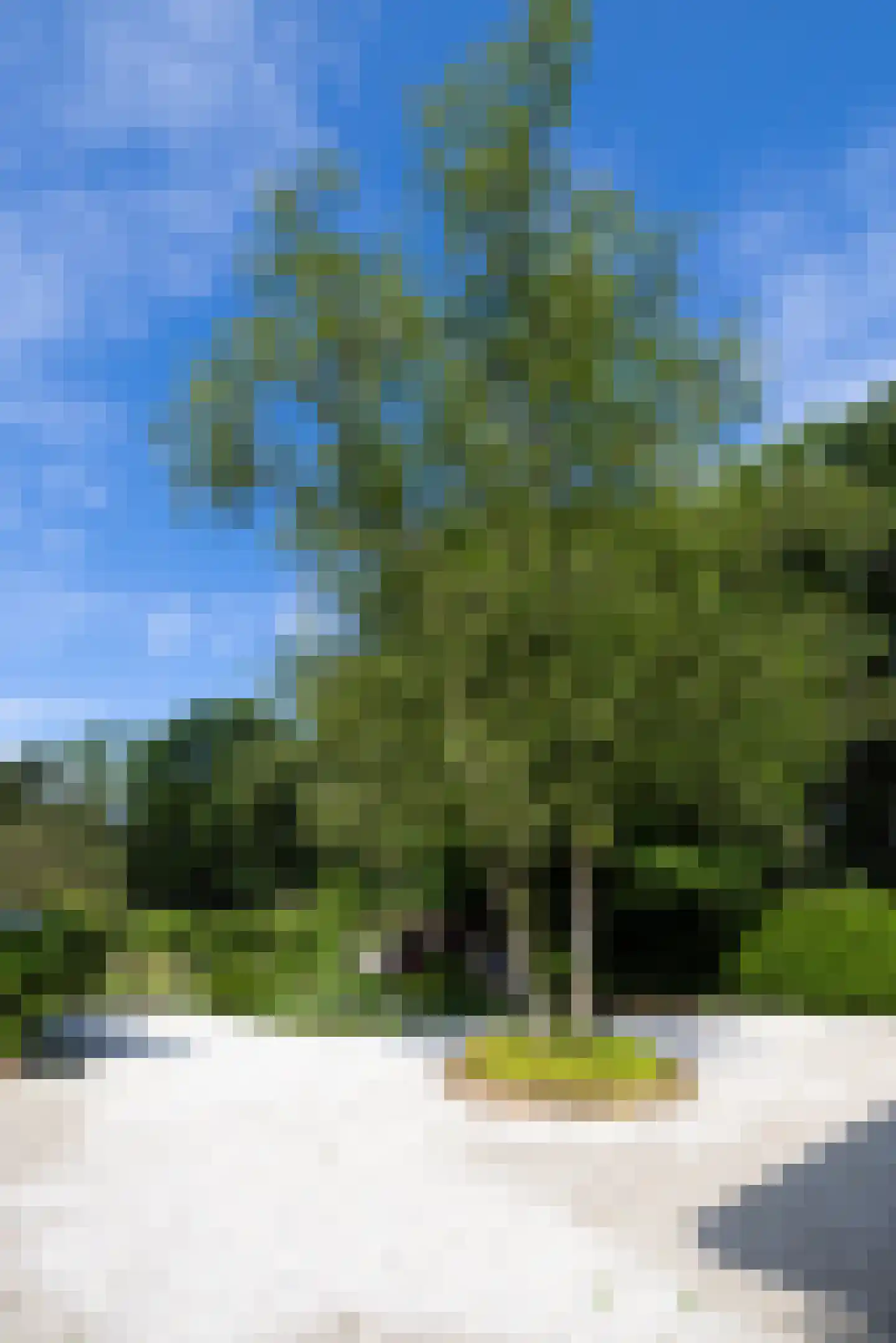Vaarbekerweg 20 't Harde thumbnail 14