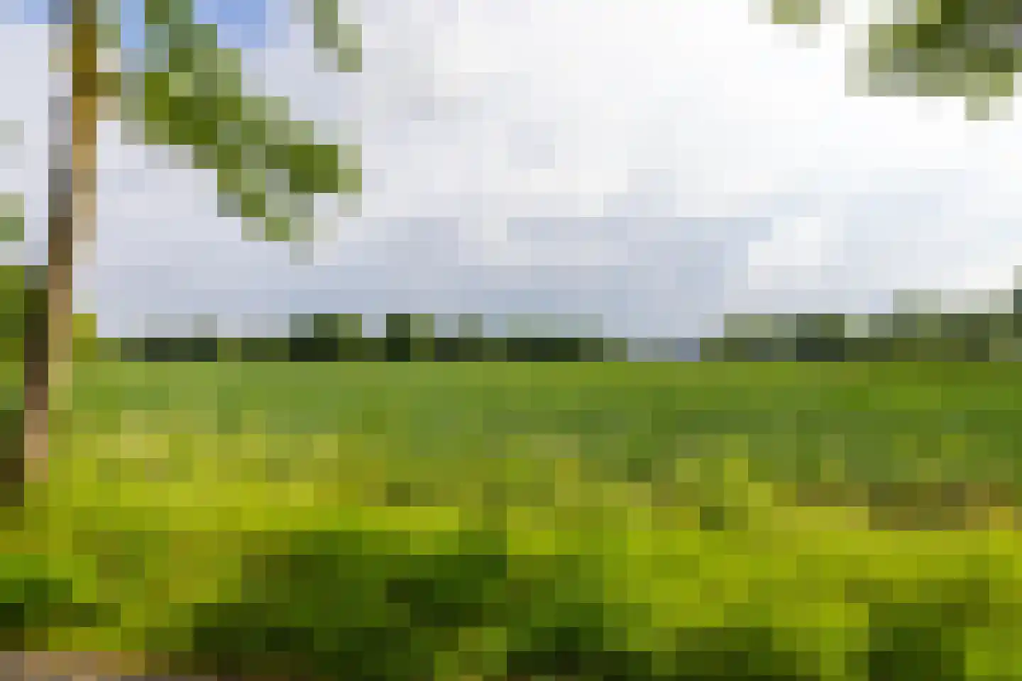 Vaarbekerweg 20 't Harde thumbnail 16