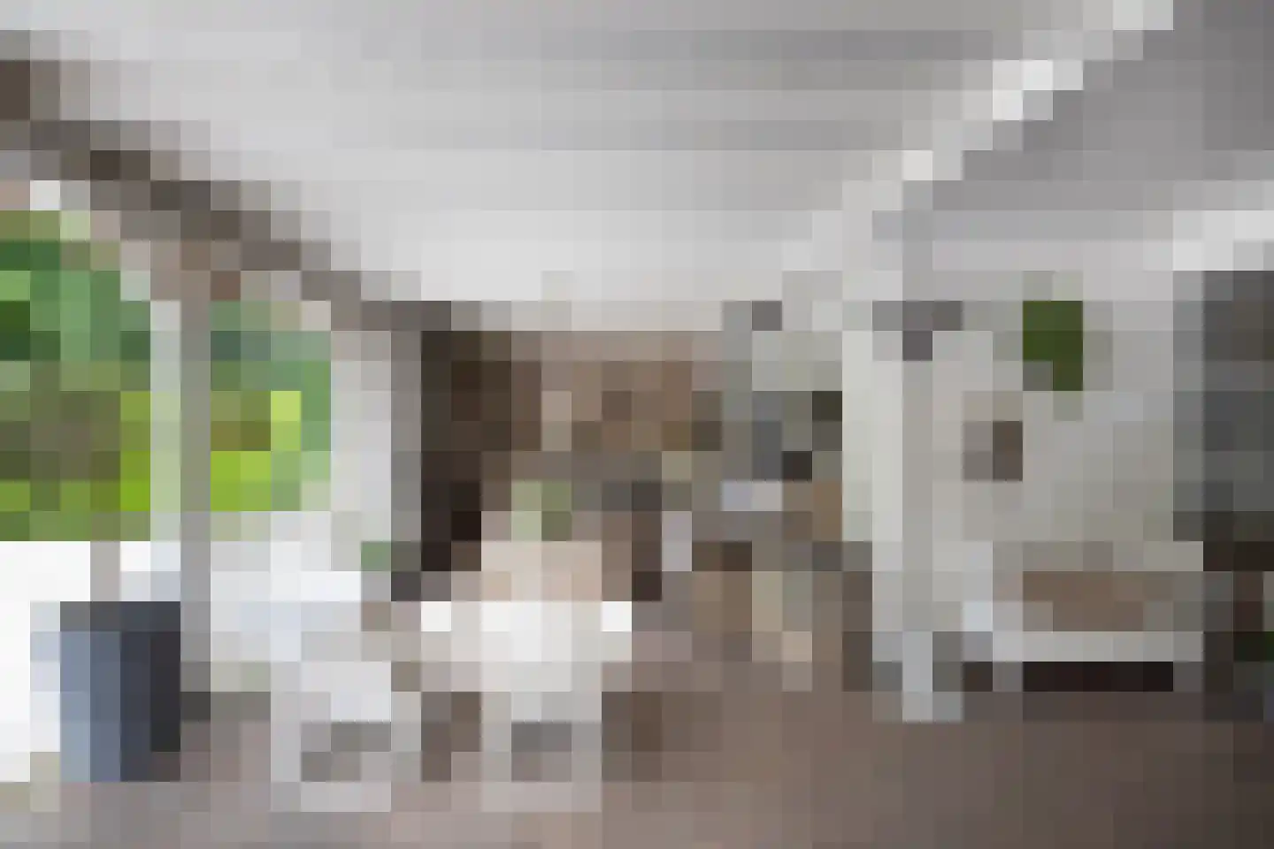Vaarbekerweg 20 't Harde thumbnail 18