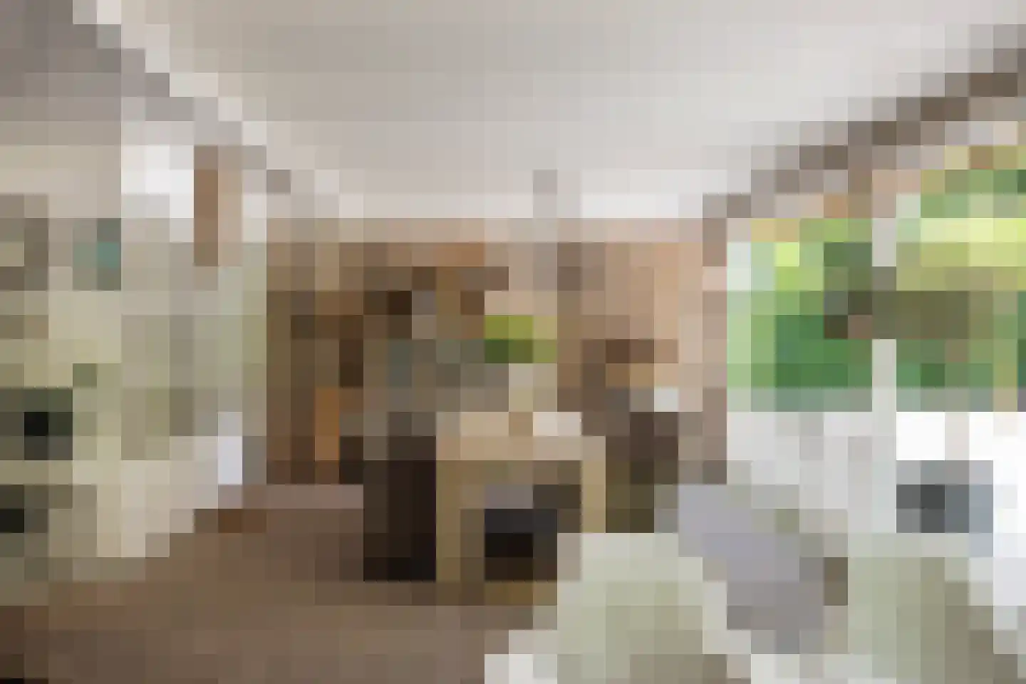 Vaarbekerweg 20 't Harde thumbnail 20
