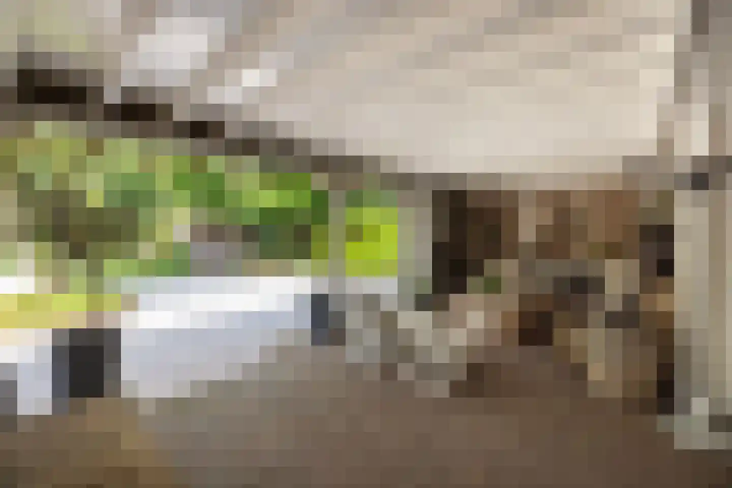 Vaarbekerweg 20 't Harde thumbnail 21