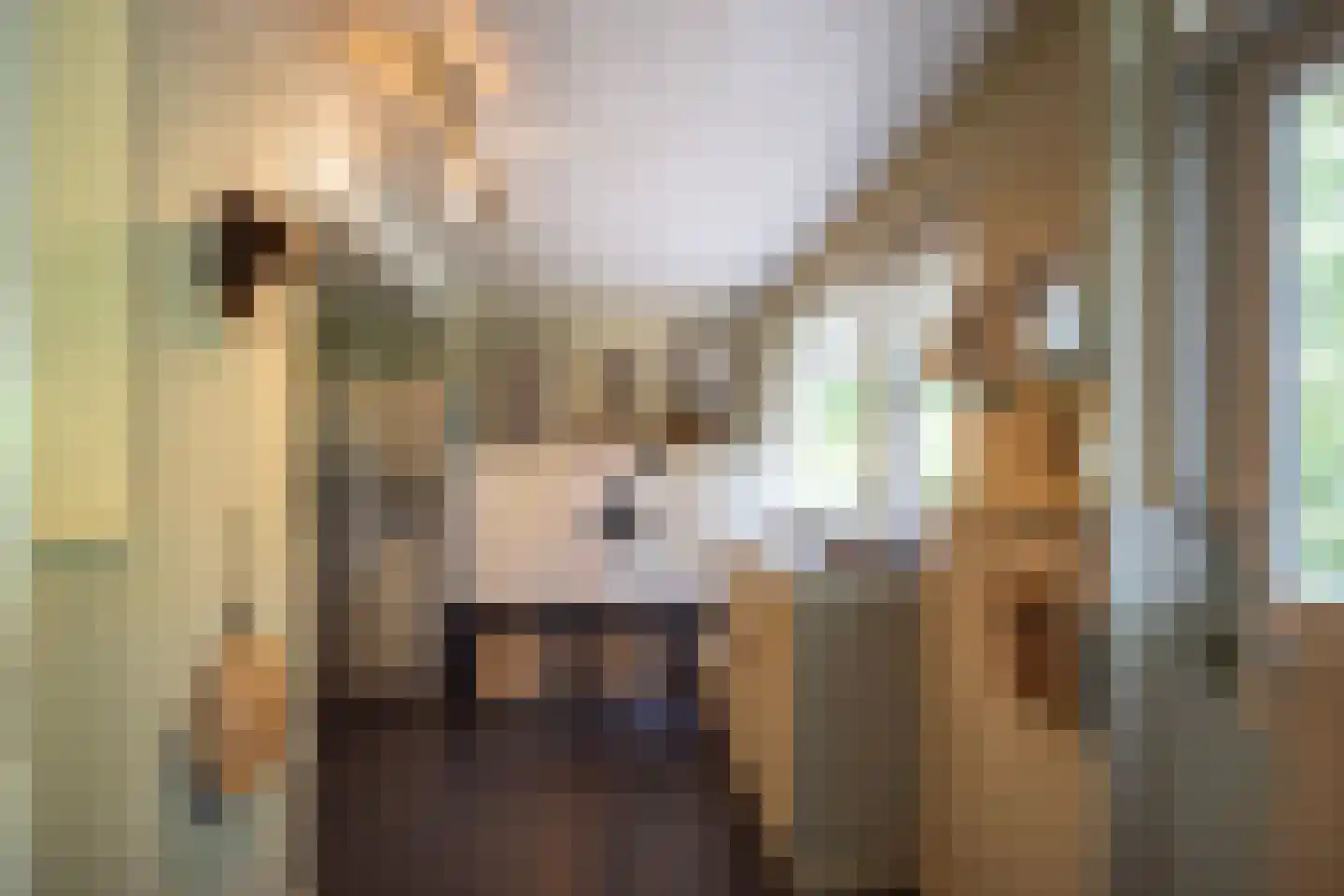 Vaarbekerweg 20 't Harde thumbnail 25
