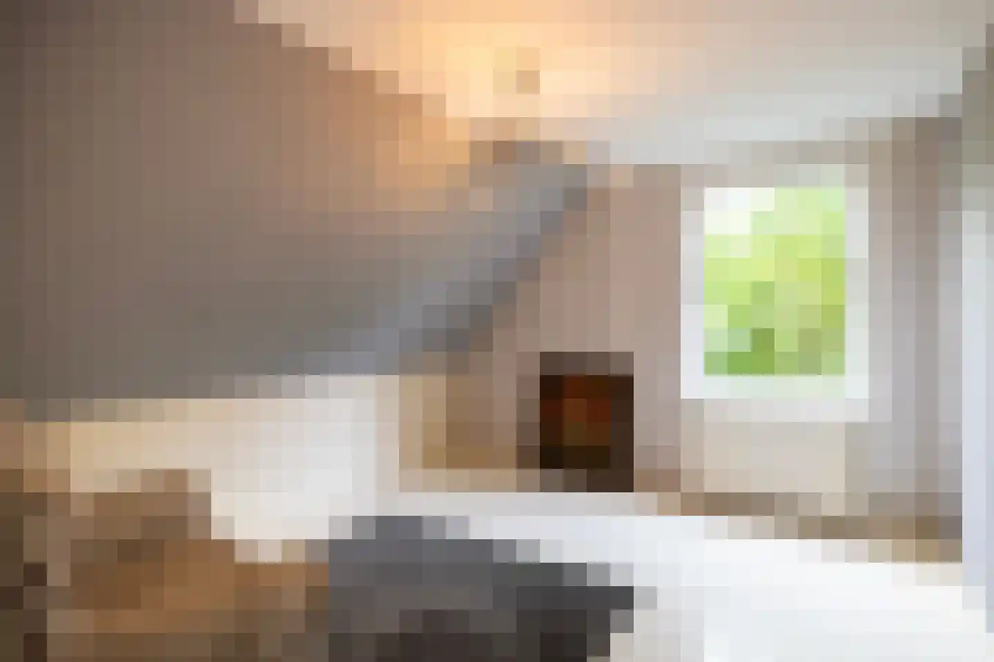 Vaarbekerweg 20 't Harde thumbnail 42