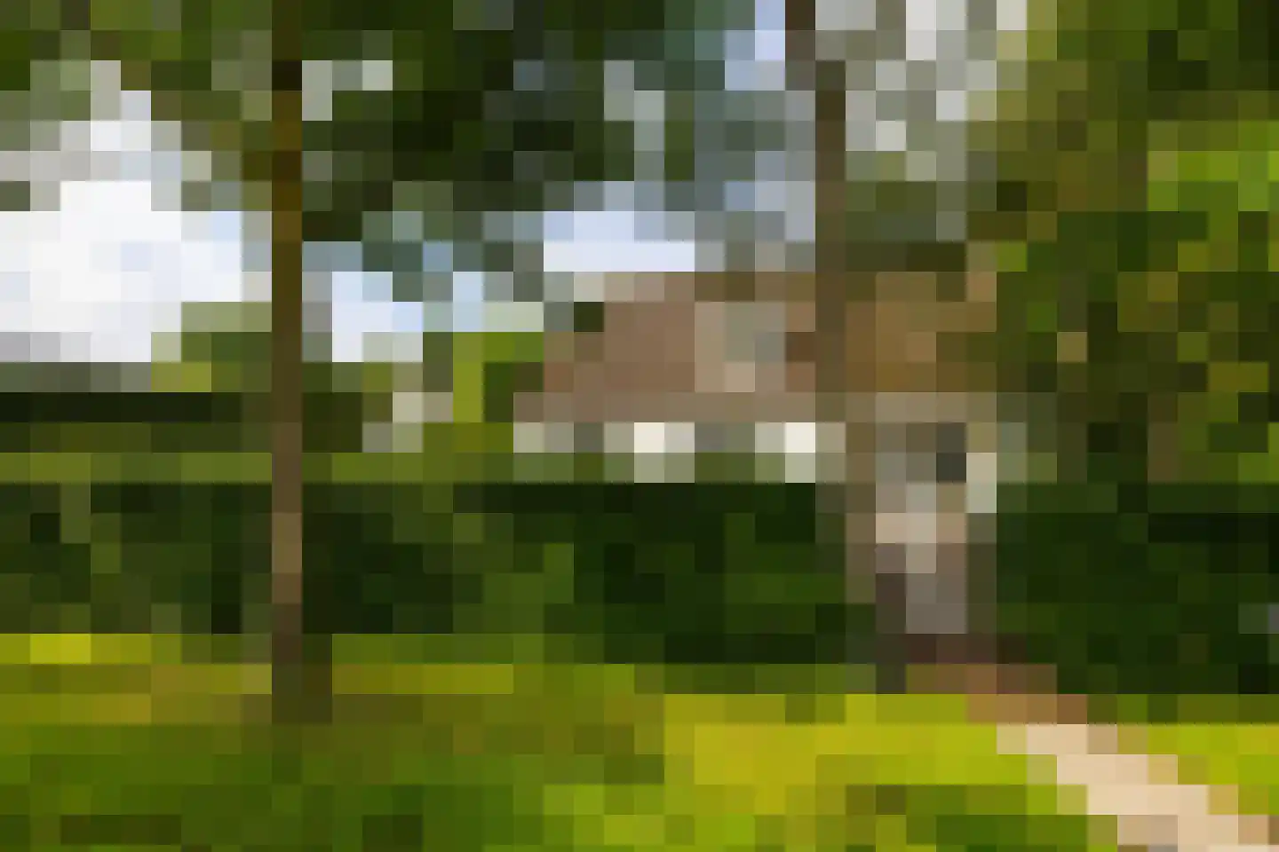Vaarbekerweg 20 't Harde thumbnail 5