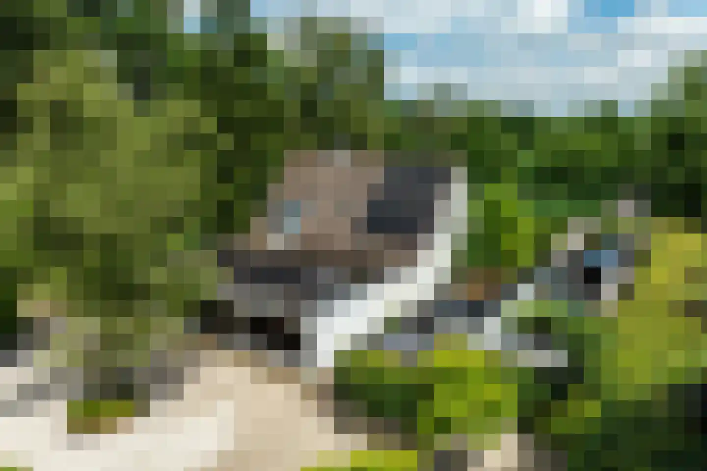 Vaarbekerweg 20 't Harde thumbnail 51