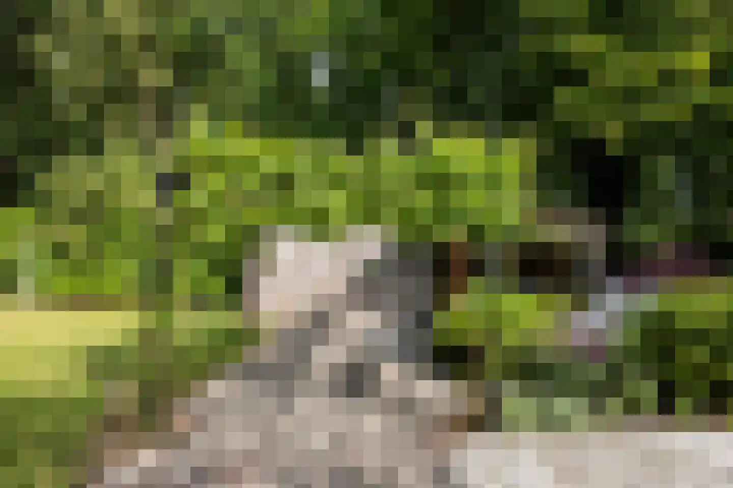 Vaarbekerweg 20 't Harde thumbnail 52