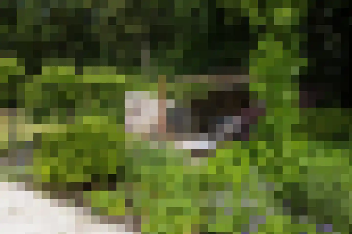 Vaarbekerweg 20 't Harde thumbnail 54