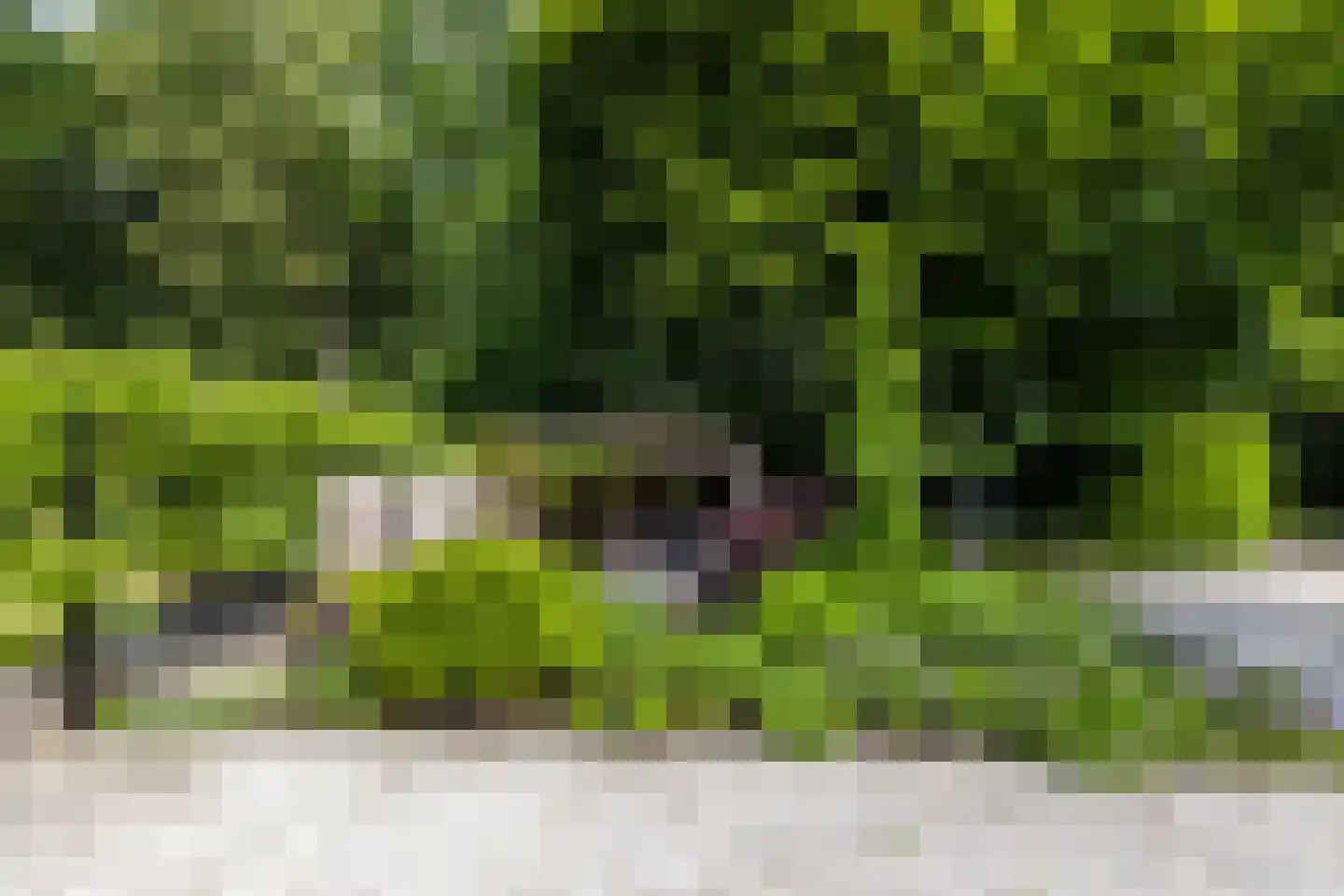 Vaarbekerweg 20 't Harde thumbnail 55