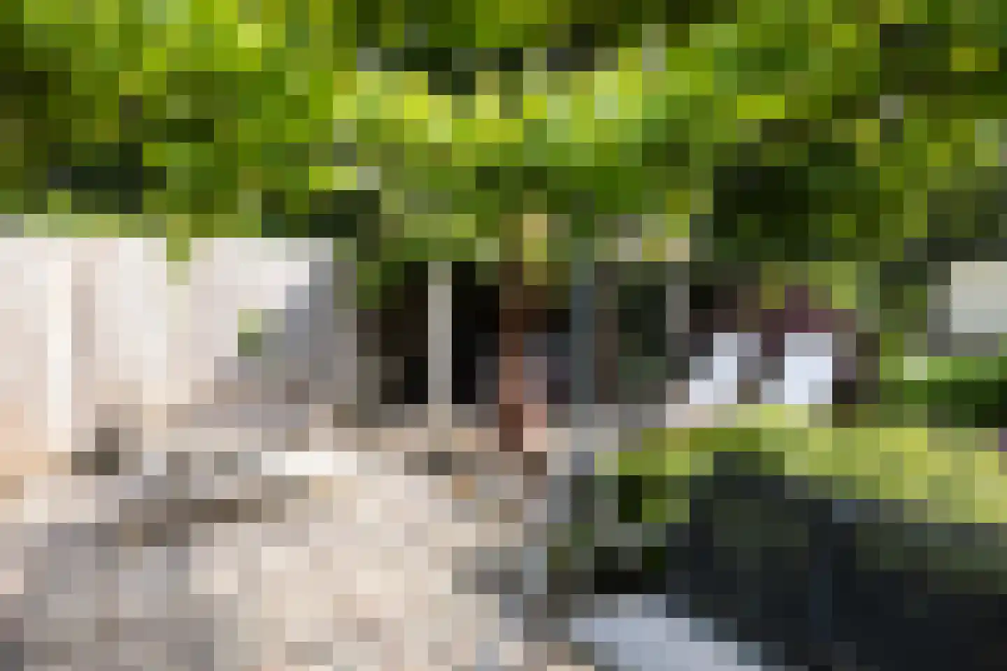 Vaarbekerweg 20 't Harde thumbnail 56