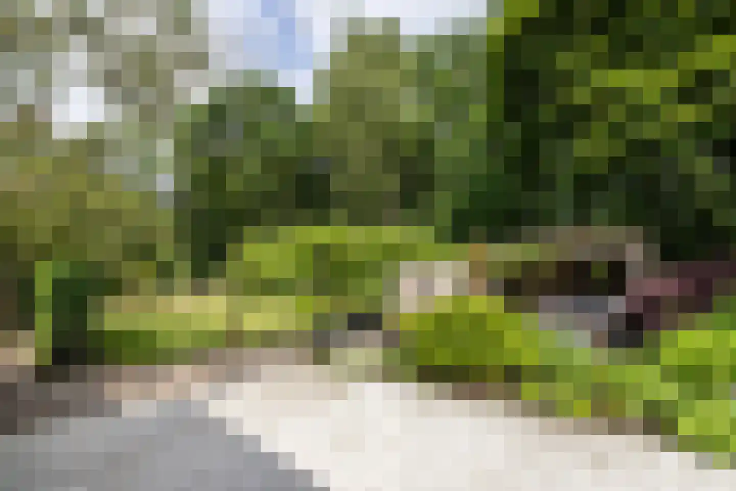 Vaarbekerweg 20 't Harde thumbnail 6