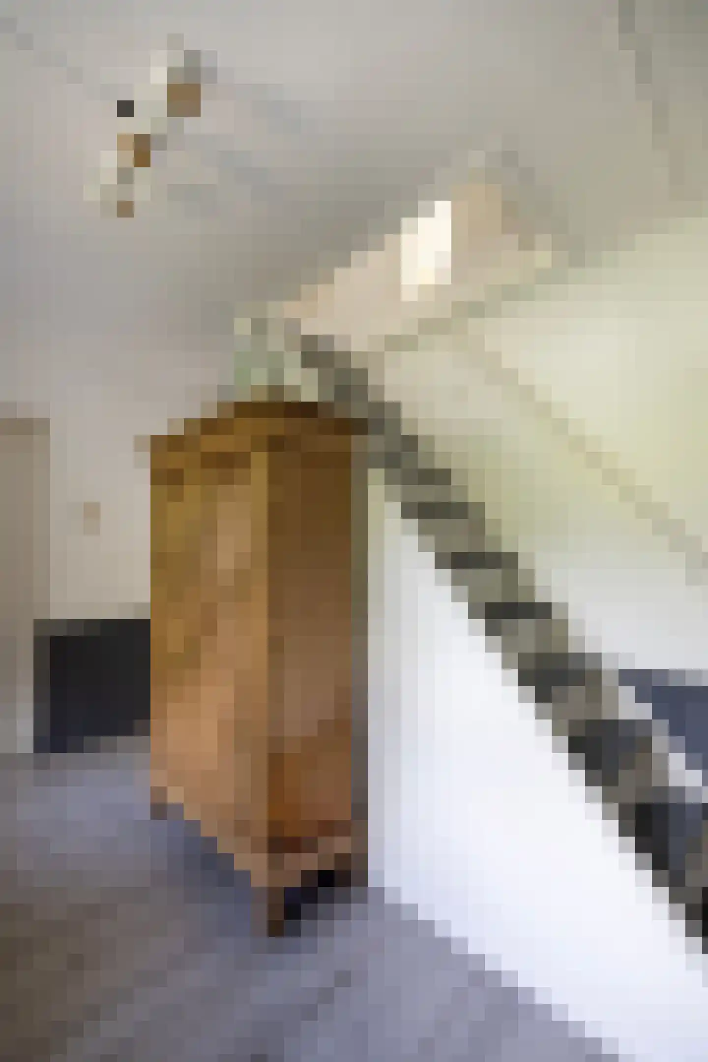 Vaarbekerweg 20 't Harde thumbnail 65