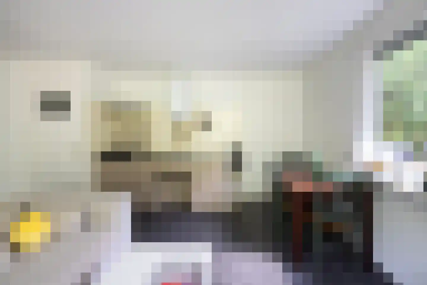 Vaarbekerweg 20 't Harde thumbnail 69