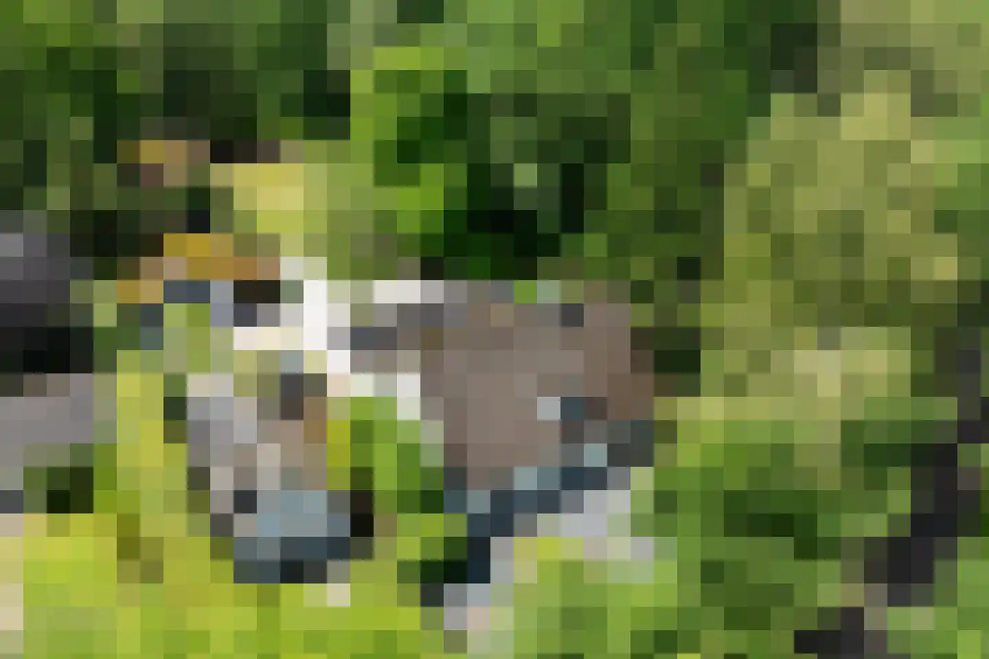 Vaarbekerweg 20 't Harde thumbnail 7