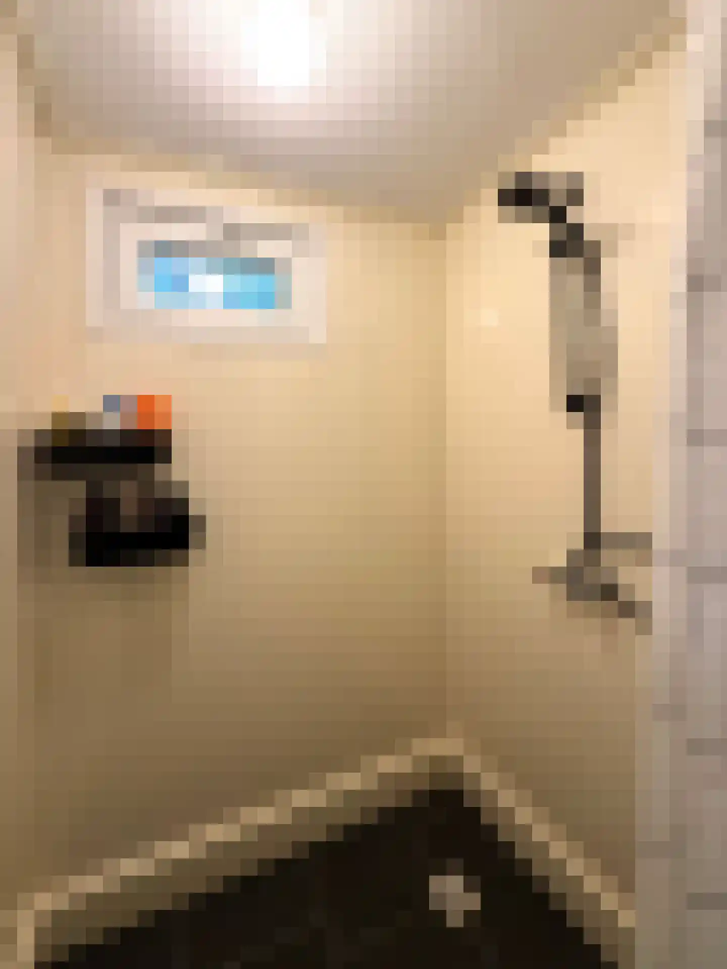 Vaarbekerweg 20 't Harde thumbnail 74