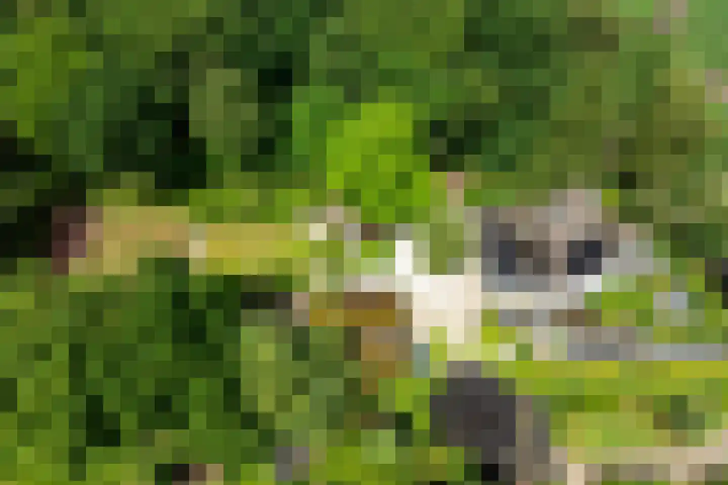 Vaarbekerweg 20 't Harde thumbnail 78