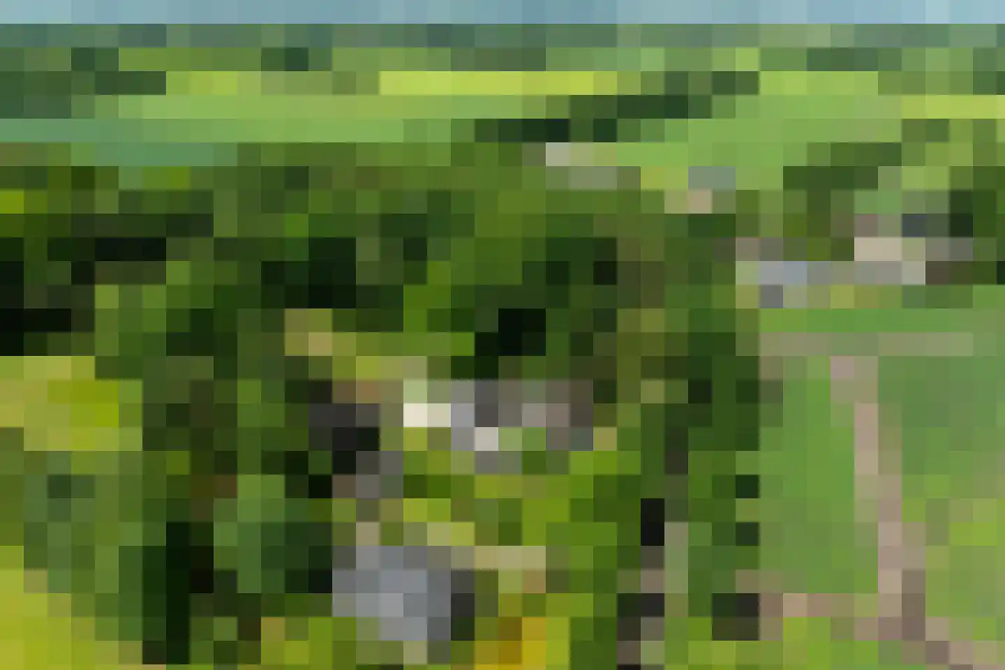 Vaarbekerweg 20 't Harde thumbnail 79