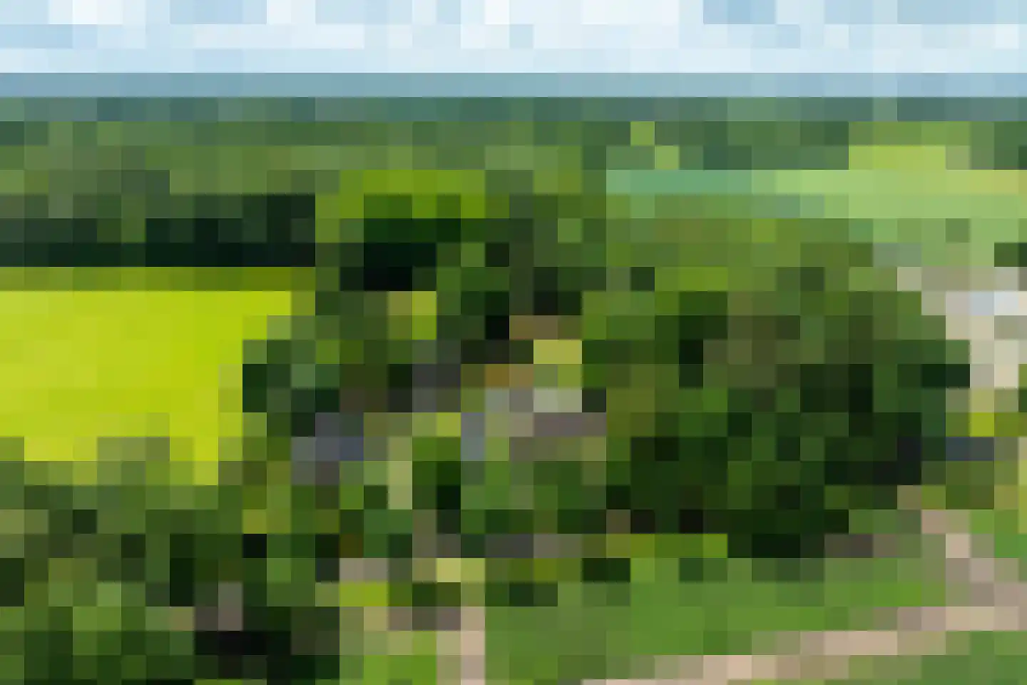 Vaarbekerweg 20 't Harde thumbnail 80